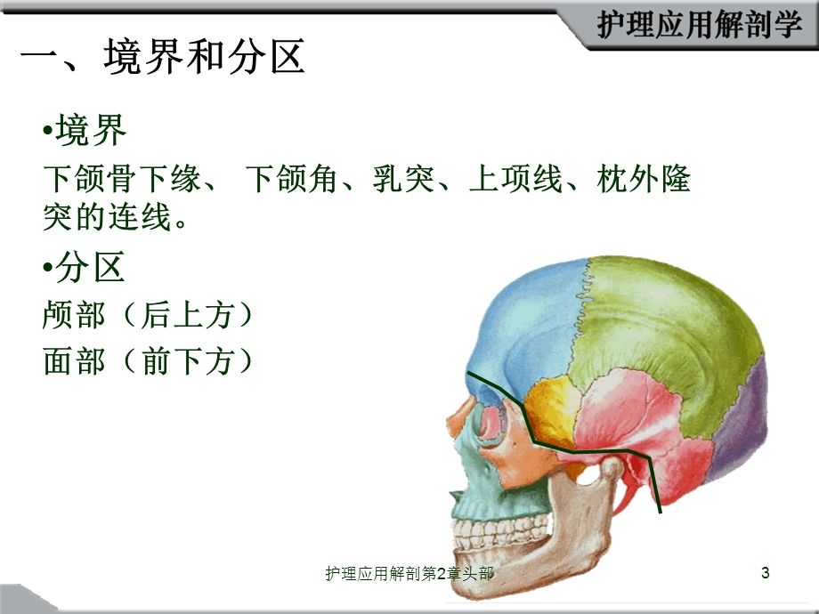 护理应用解剖第2章头部课件.ppt_第3页