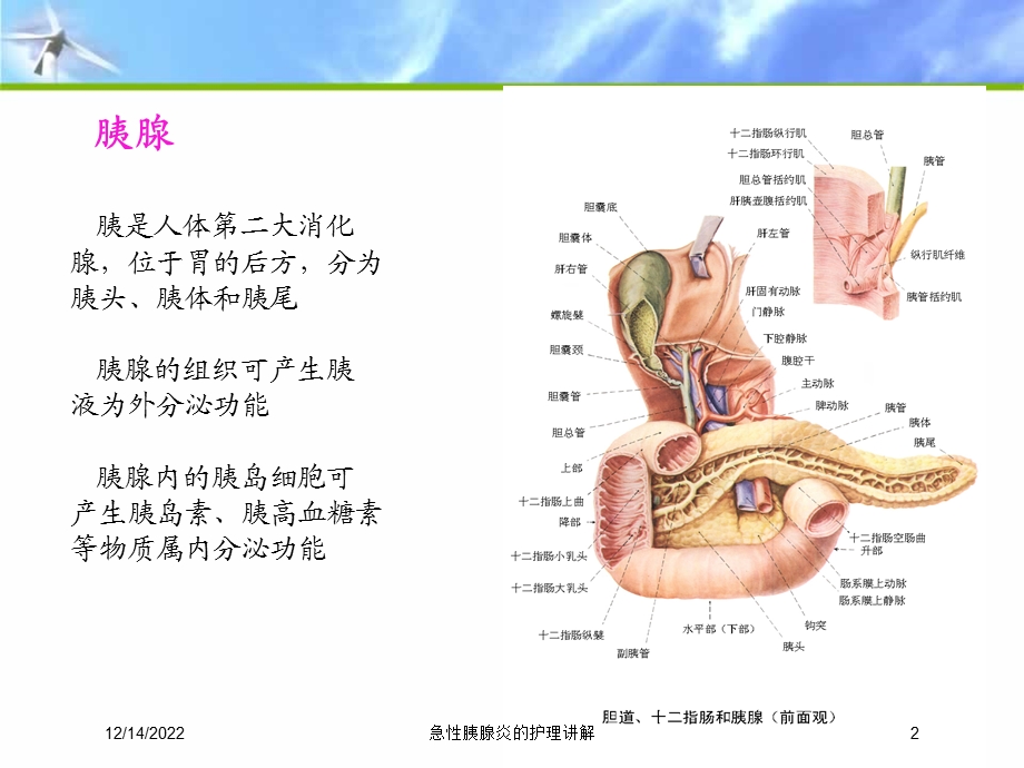 急性胰腺炎的护理讲解培训课件.ppt_第2页