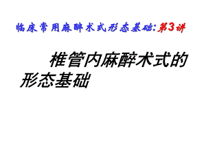 椎管内麻醉术式的形态学基础课件.ppt