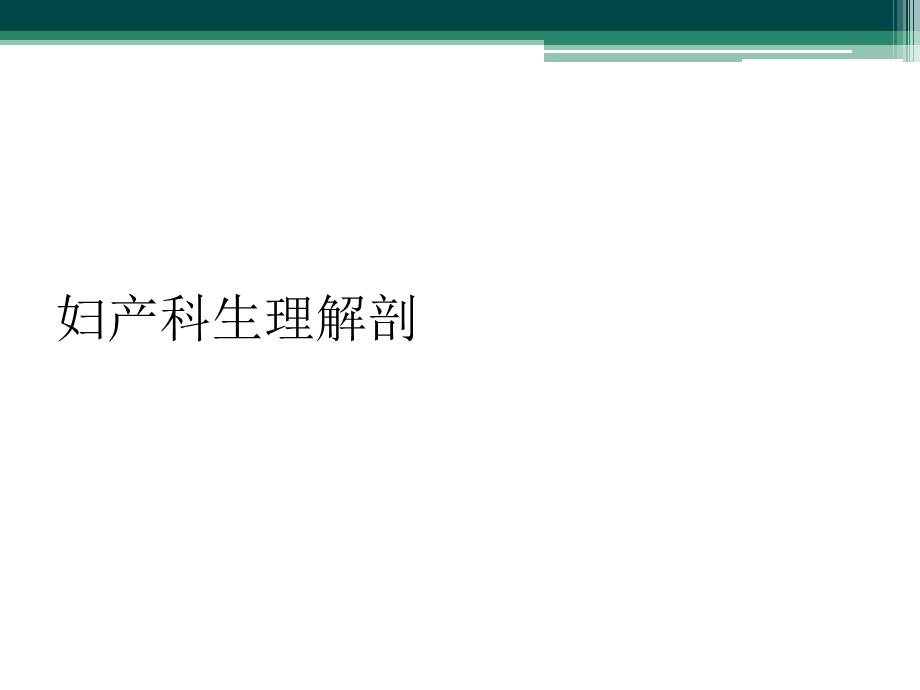 妇产科生理解剖课件.ppt_第1页