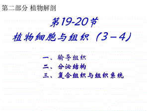 植物学植物成熟组织课件.ppt