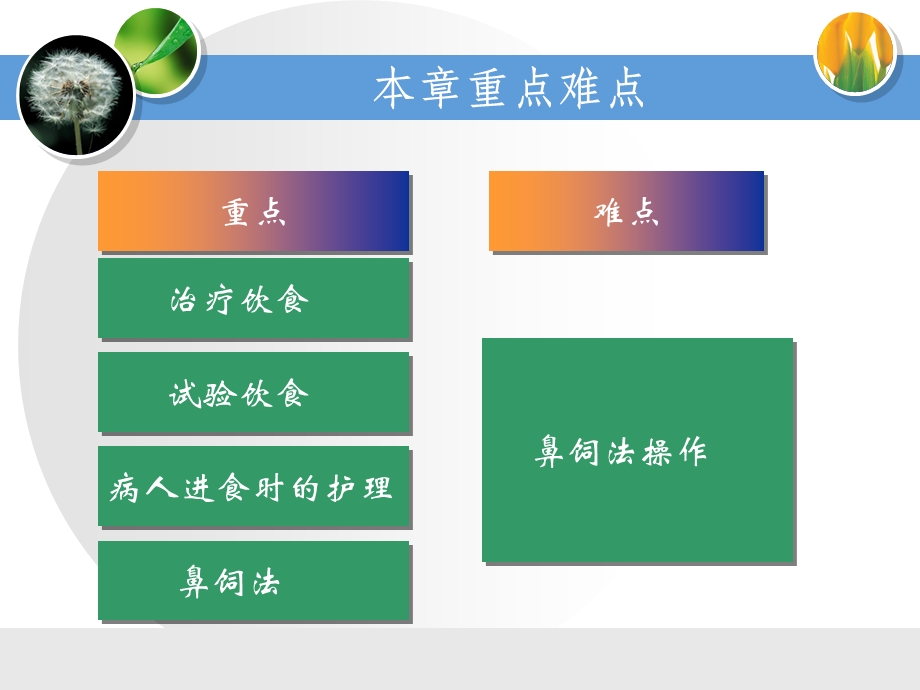 护理学基础第13章 营养与饮食概要ppt课件.ppt_第2页