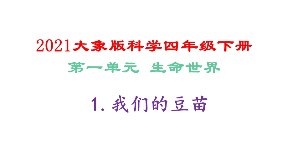 大象版科学四年级下册11我们的豆苗课件及练习题和答案.pptx_第1页