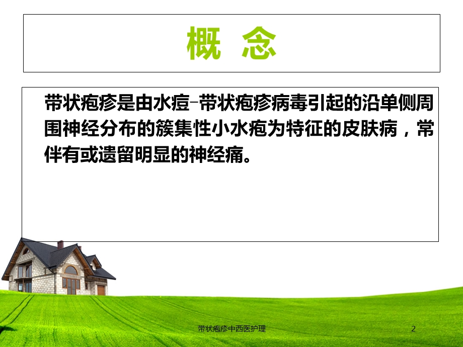 带状疱疹中西医护理培训课件.ppt_第2页