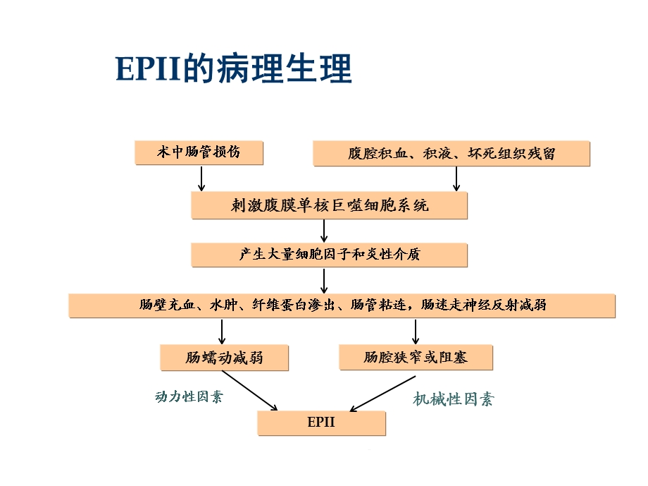 术后早期炎性肠梗阻(共26张)课件.ppt_第2页