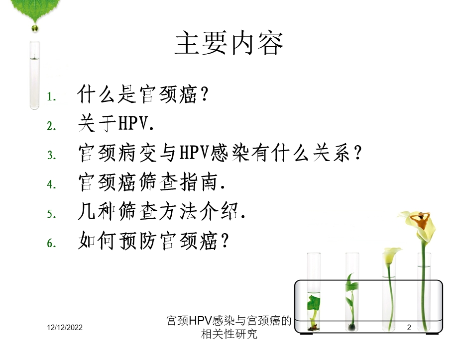 宫颈HPV感染与宫颈癌的相关性研究课件.ppt_第2页