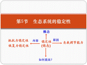 生态系统的稳定性课件(浙教版科学九年级下册).ppt