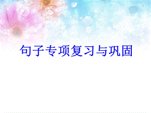 小学语文句子专项练习ppt课件.ppt