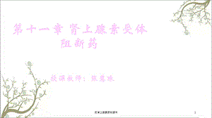 抗肾上腺素药物课件.ppt