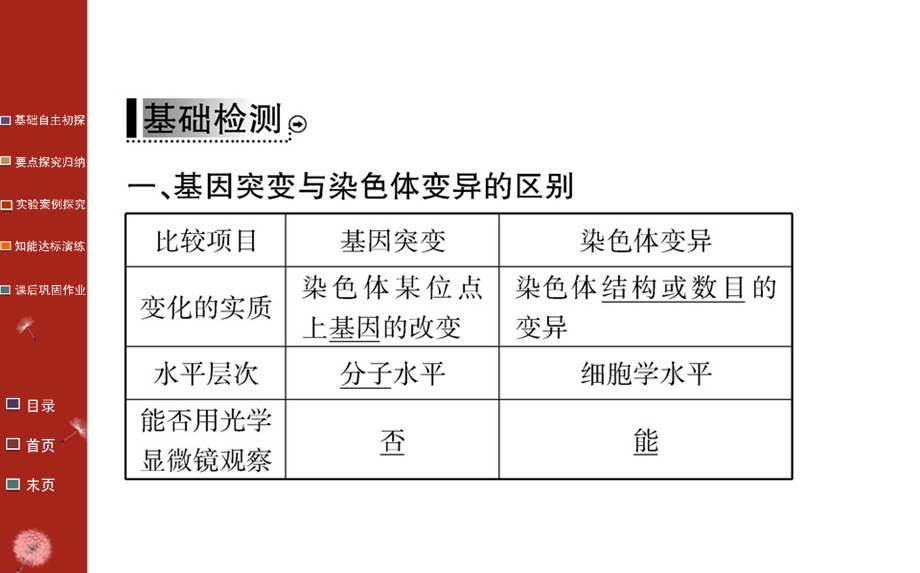 必修二染色体变异课件(98张).ppt_第3页