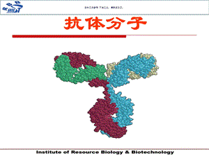 抗体技术医学宣教课件.ppt