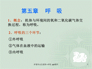 护理专业生理学呼吸课件.ppt