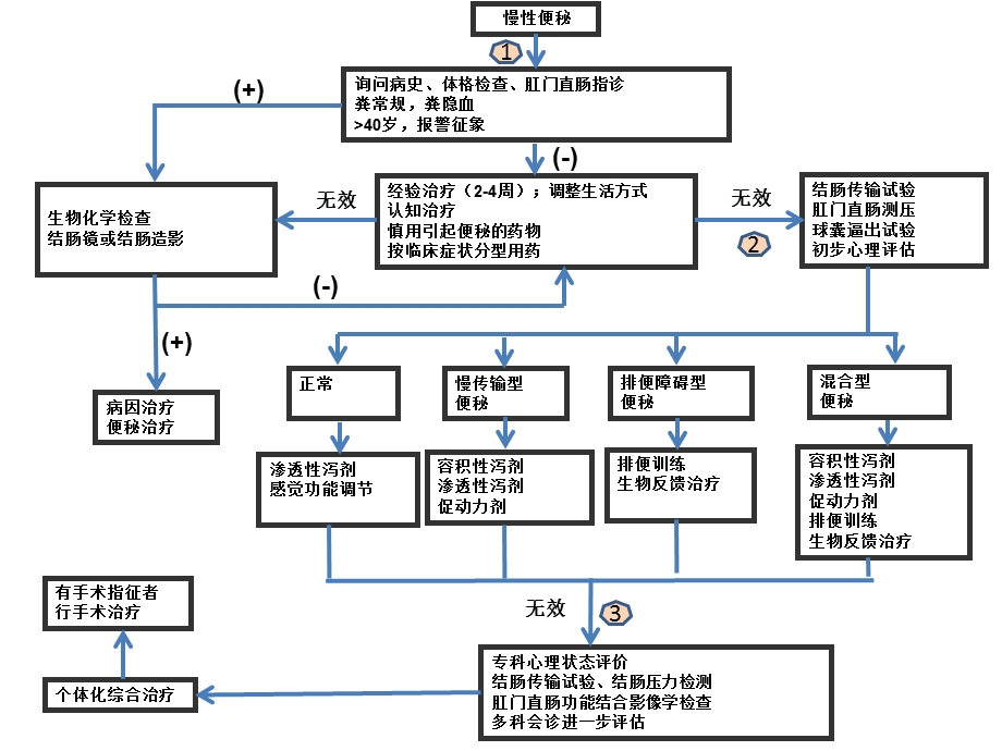 慢性便秘诊治进展.ppt_第3页