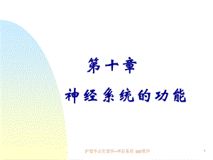 护理专业生理学神经系统课件.ppt