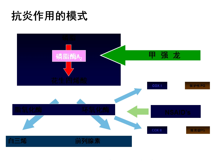 甲强龙在急诊中的应用(共75张精选)课件.pptx_第3页