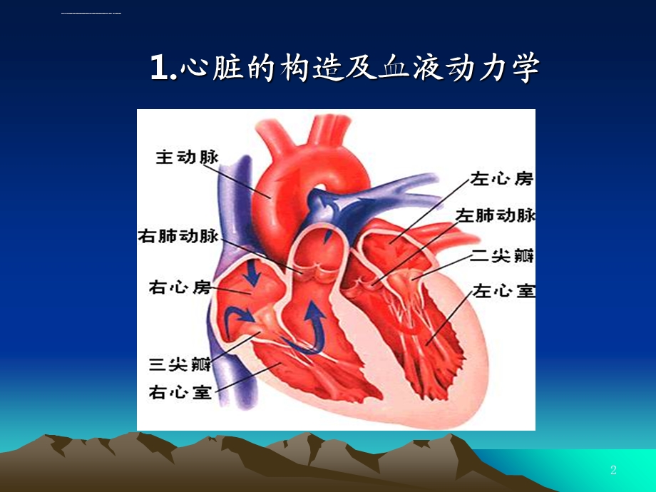 常规心电图识别ppt课件.ppt_第2页