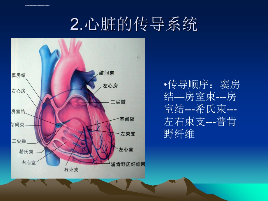 常规心电图识别ppt课件.ppt_第3页