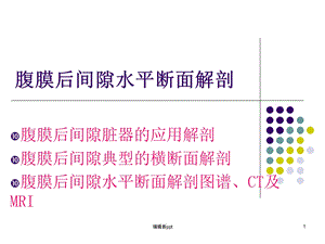 断面腹膜后隙课件.ppt