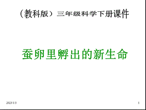 教科版小学科学3年级下册课件蚕卵里孵出的新生命(课件).ppt