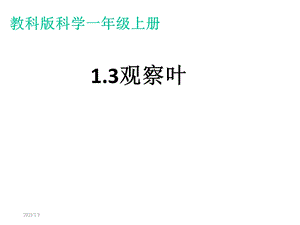 教科版科学一年级上册13观察叶课件.ppt