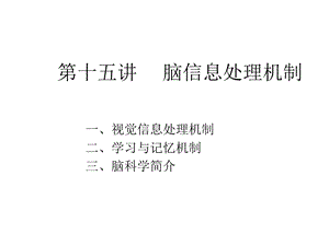 大脑信息处理课件.ppt