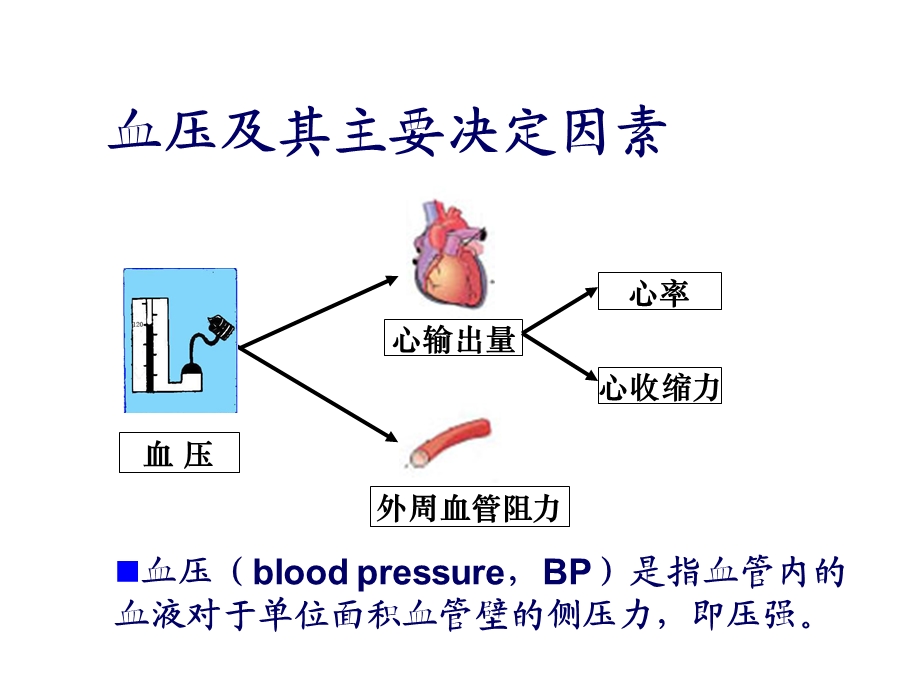 抗高血压药物(tft).ppt_第3页