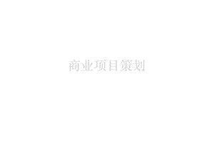 某商业项目策划方案.ppt