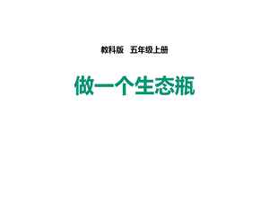 教科版五年级科学上册做一个生态瓶课件.pptx