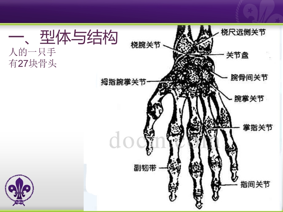 手脚的画法ppt课件.ppt_第3页