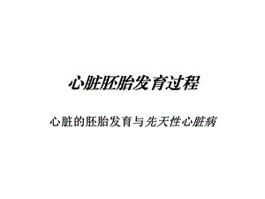 心脏胚胎发育过程ppt课件.ppt