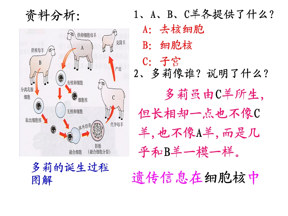 浙教版九年级科学下册《遗传与进化》p课件.ppt_第3页