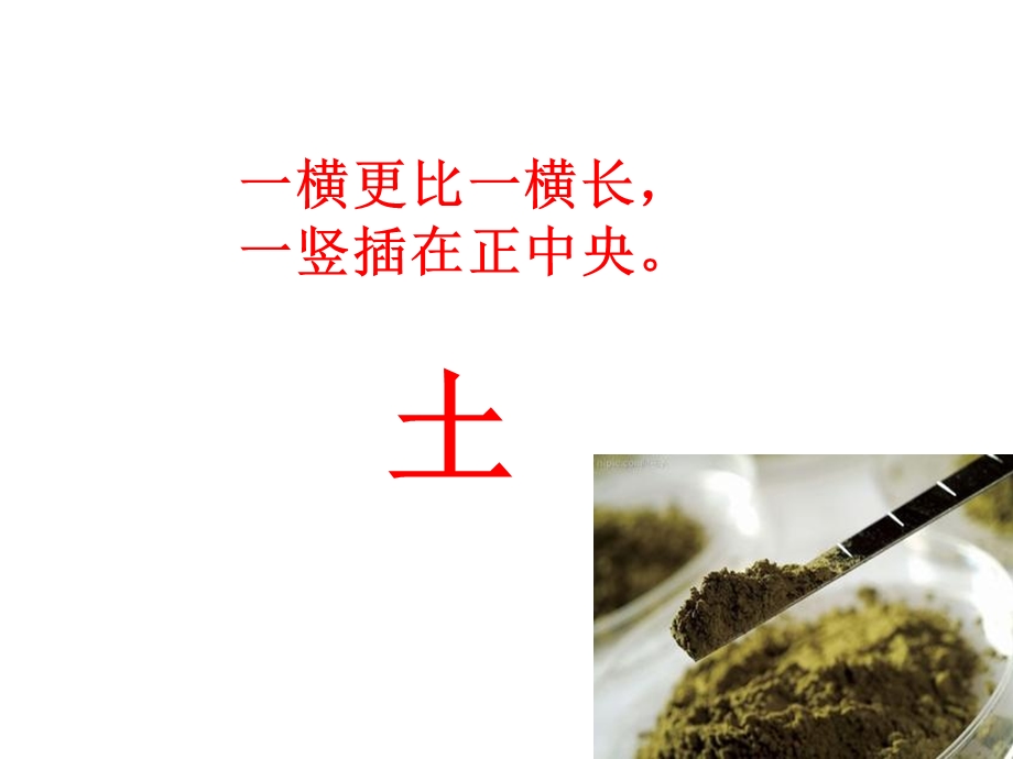 教科版科学二年级上册2、《土壤动植物的乐园》教学课件.pptx_第1页