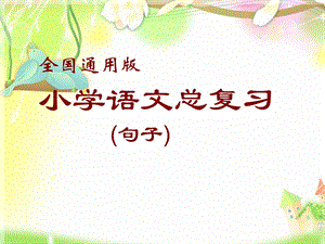 小学语文句子总复习（全国通用版）ppt课件.ppt