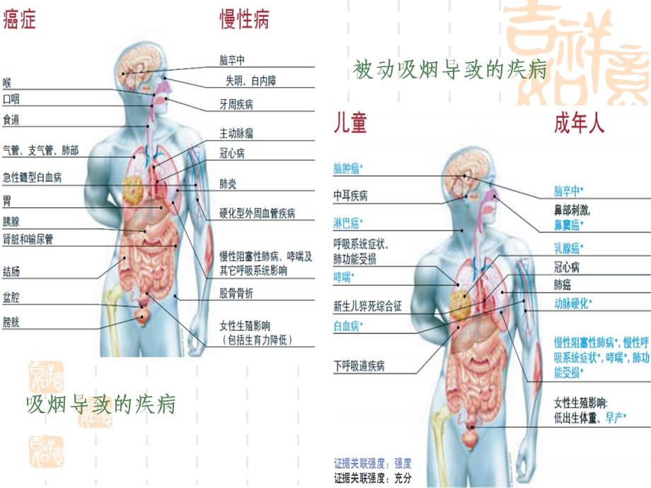 戒烟门诊和门诊戒烟的干预课件.ppt_第2页