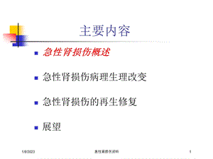 急性肾损伤培训课件.ppt