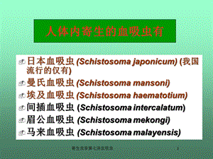 寄生虫学第七讲血吸虫课件.ppt