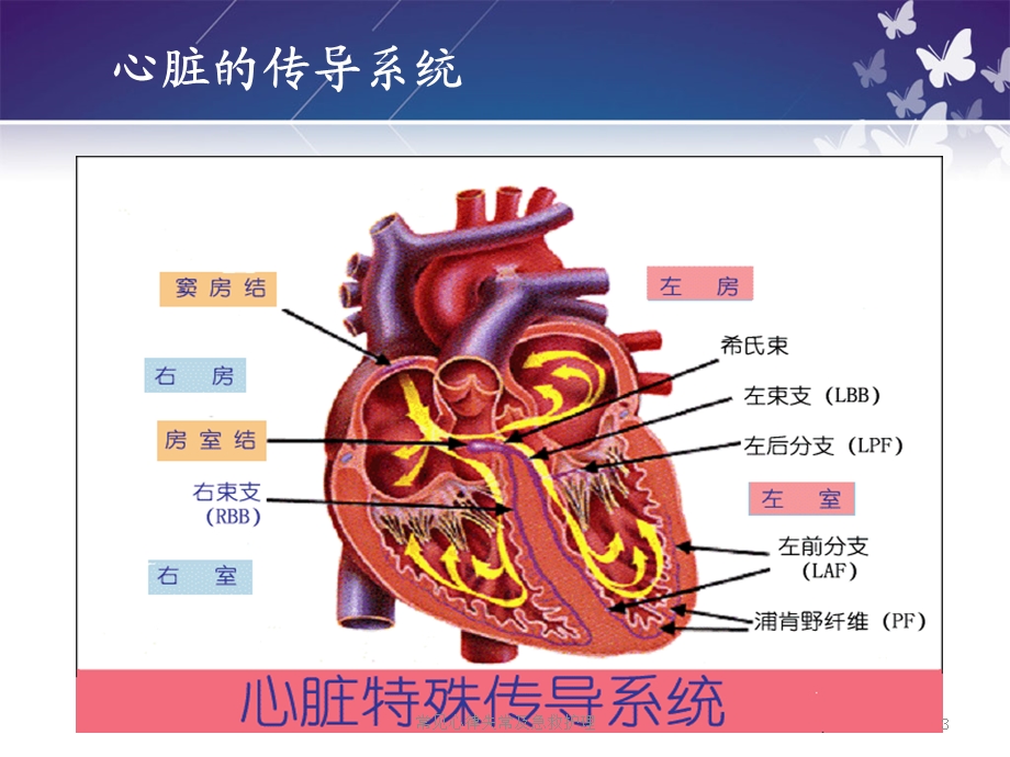 常见心律失常及急救护理培训课件.ppt_第3页