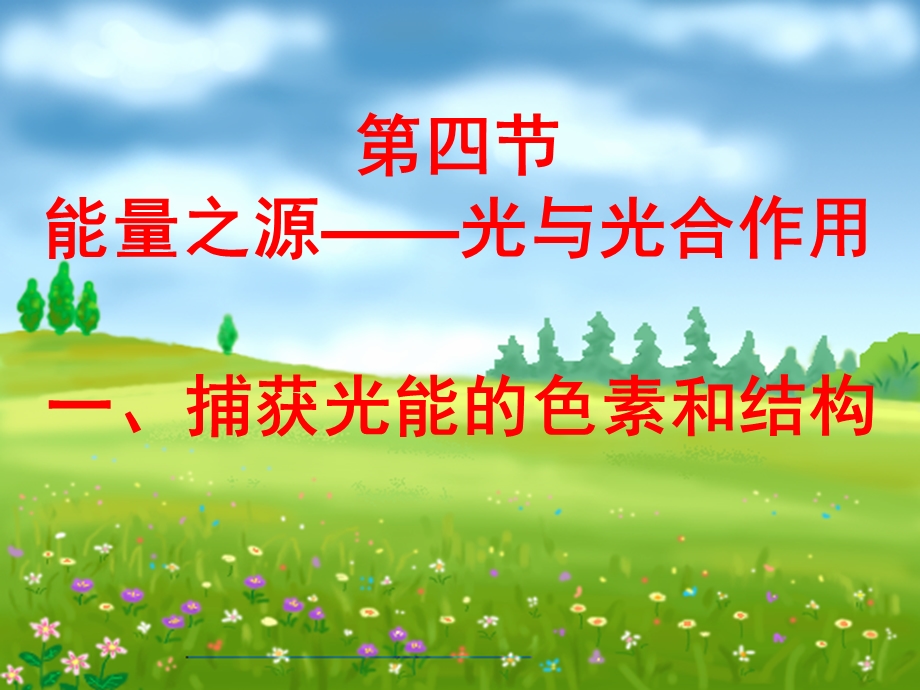 必修一第五章第四节能量之源——光与光合作用ppt课件.ppt_第1页