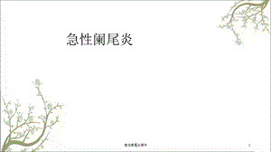 急性阑尾炎课件.ppt