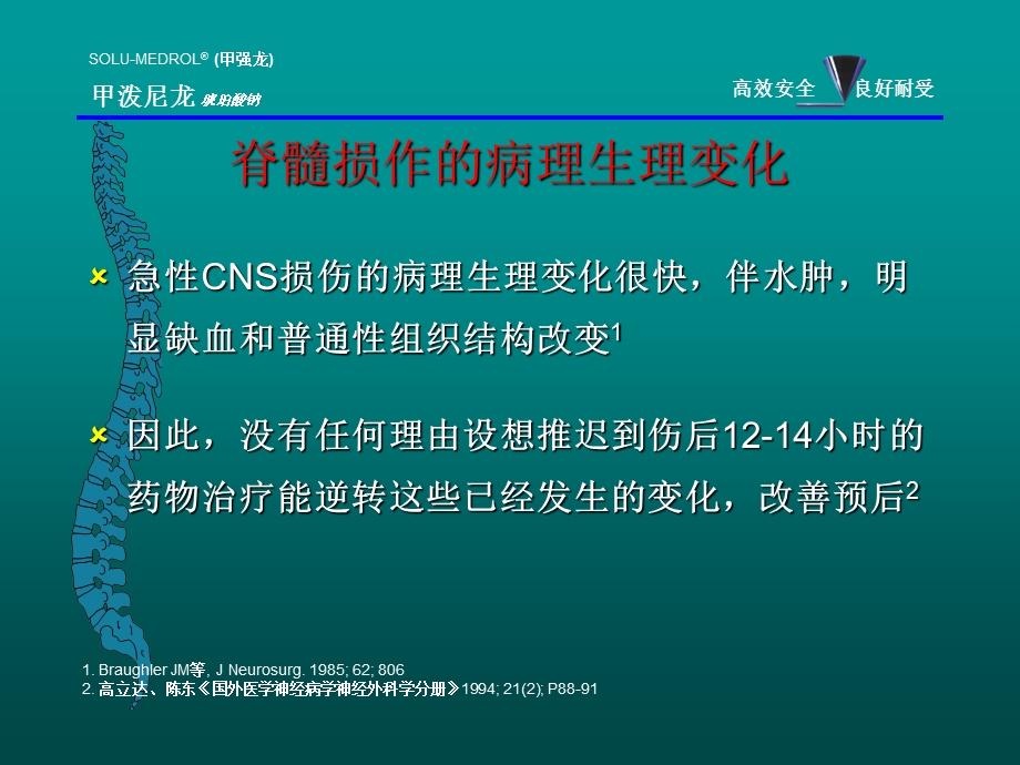 甲强龙脊髓损伤课件.ppt_第2页