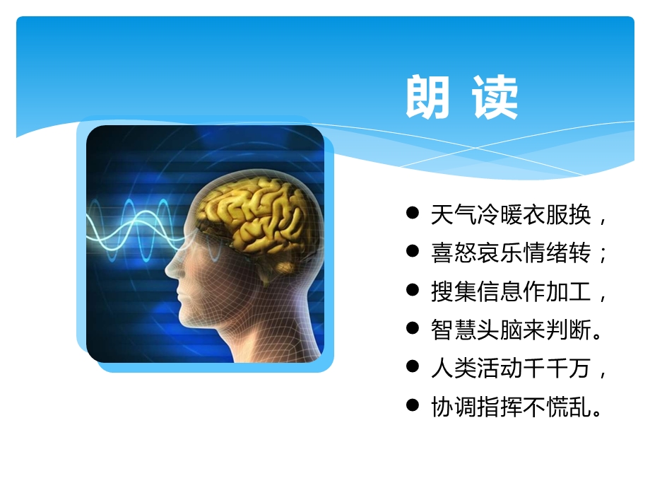 湘教版五年级科学上册第一单元2《人体指挥部—脑》课件.pptx_第2页