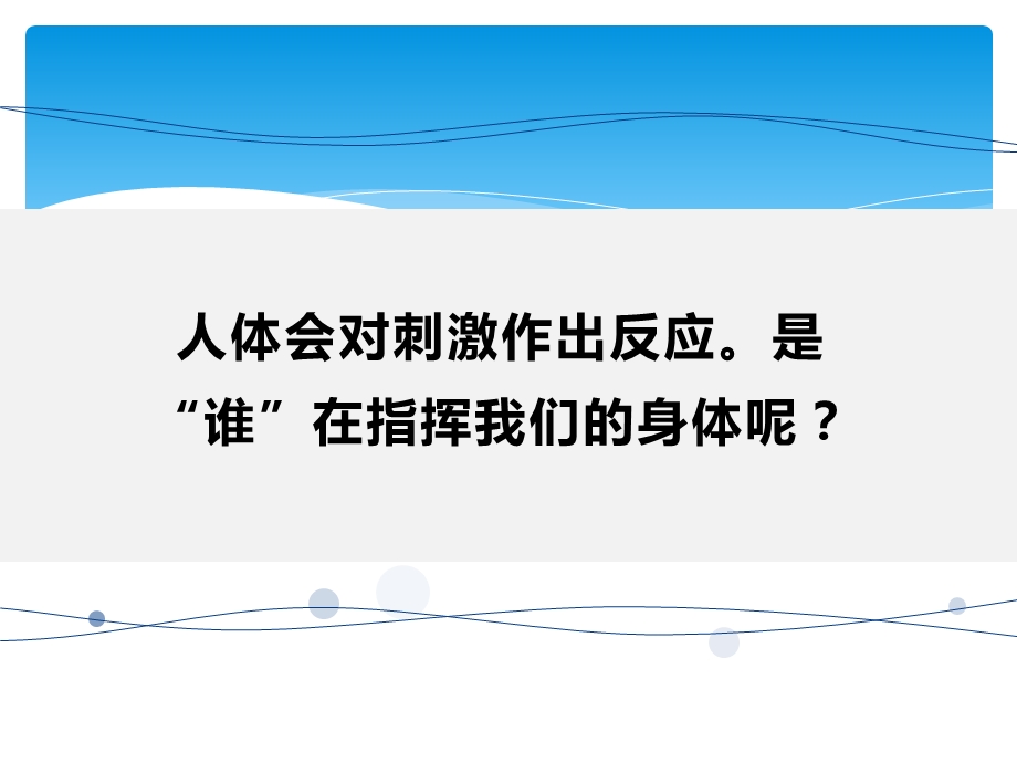 湘教版五年级科学上册第一单元2《人体指挥部—脑》课件.pptx_第3页