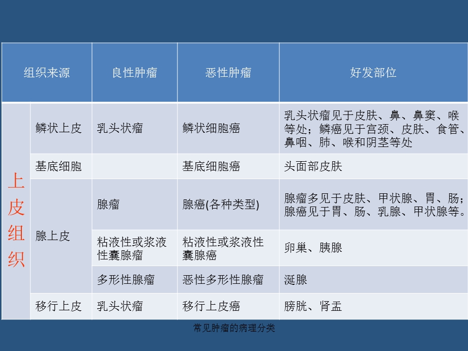 常见肿瘤的病理分类课件.ppt_第3页