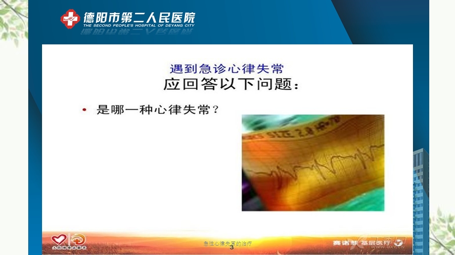 急性心律失常的治疗课件.ppt_第3页