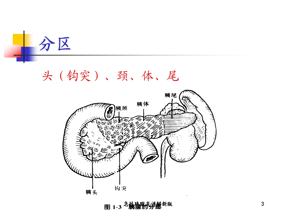 急性胰腺炎讲解新版培训课件.ppt_第3页