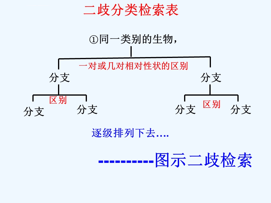 常见动物(无脊椎动物二歧分类检索表)ppt课件.ppt_第3页