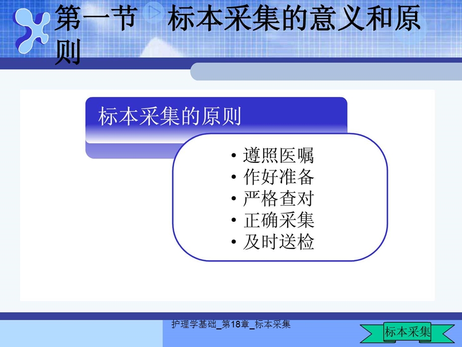 护理学基础 第18章 标本采集课件.ppt_第3页