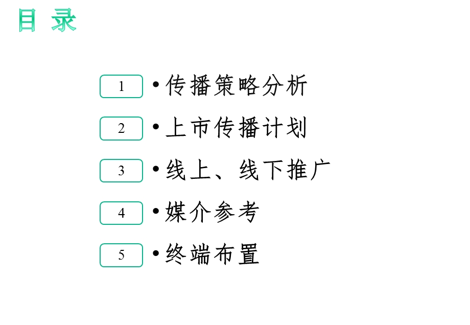 新产品上市策划方案.ppt_第2页