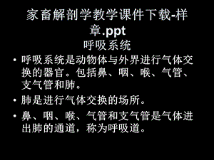 家畜解剖学教学课件样章.ppt