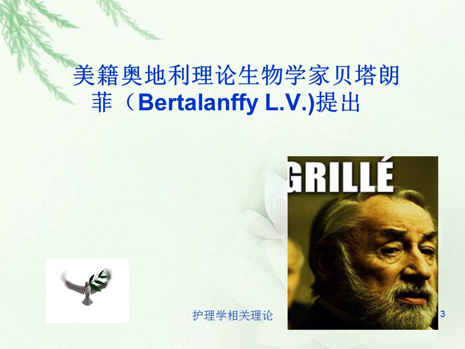 护理学相关理论培训课件.ppt_第3页